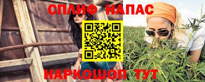 дживик Будённовск