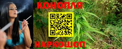 дживик Будённовск