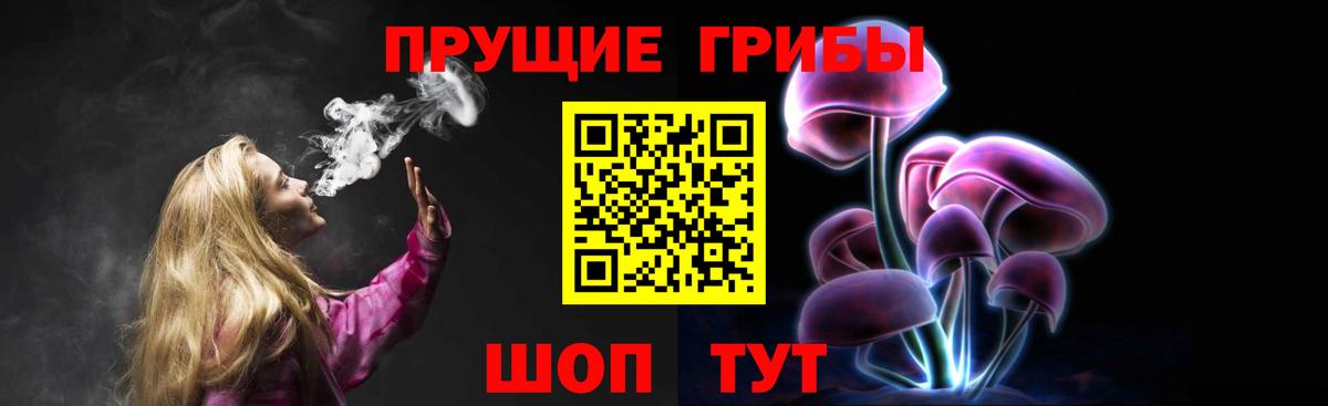 Лесосибирск  Псилоцибиновые грибы мухоморы  купить   Вход с VPN 